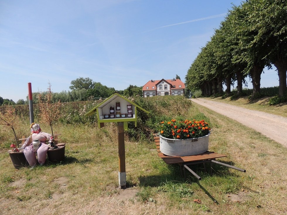 Blick auf die Zufahrt nach Einhusen, © Kurverwaltung Insel Poel (Author: © Kurverwaltung Insel Poel)