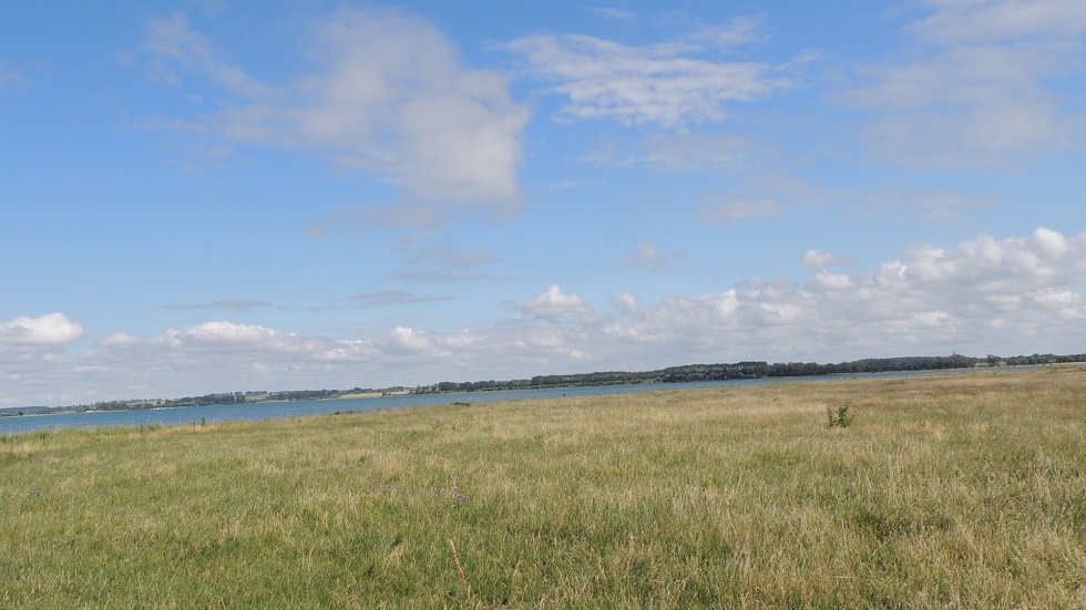 Blick über die Salzwiesen in Gollwitz (Author: Kurverwaltung Insel Poel)