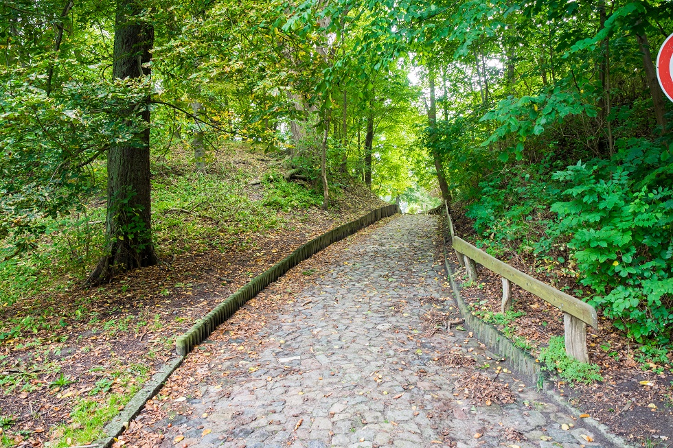 Der Weg zum Burgwall hinauf führt zum Friedhof. (Author: Frank Burger)