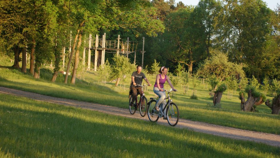 Klosterpark in Neukloster mit dem Hochseilgarten im Hintergrund (Author: Tom Clauß)